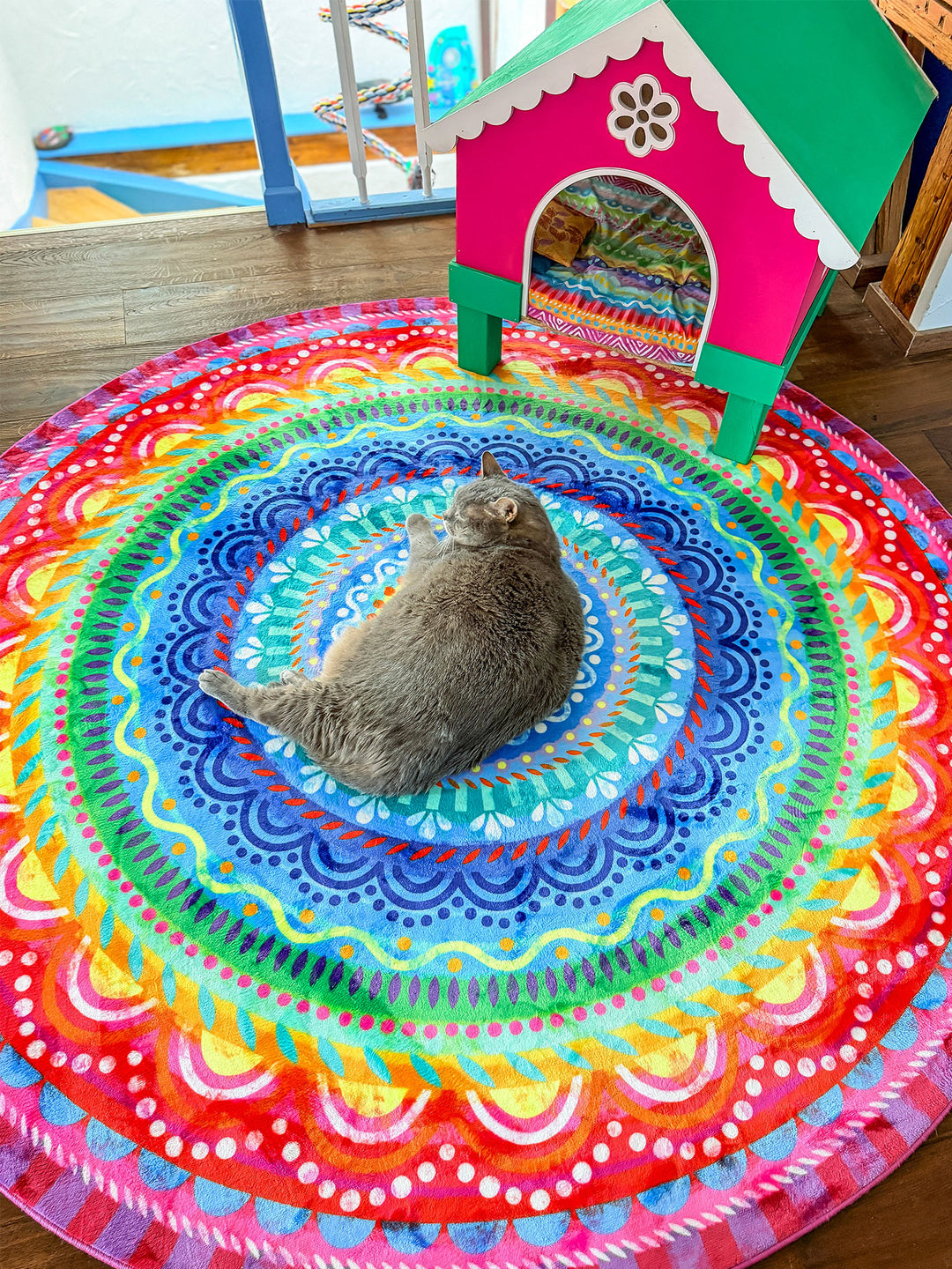Graue Katze liegt entspannt auf einem runden Mandala-Teppich mit leuchtenden Farben in Blau, Türkis, Grün, Gelb, Orange, Pink und Rot. Der bunte Teppich liegt auf dunklem Holzboden neben einem verspielten Katzenhaus in Pink und Grün. Kreisförmige Muster und kräftige Farben schaffen eine fröhliche, kreative Wohnatmosphäre mit gemütlichem Platz für Haustiere.